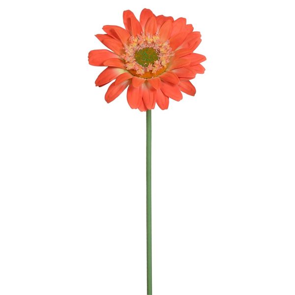 Gerbera stor