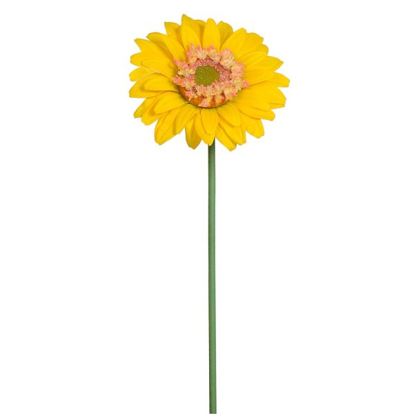 Gerbera stor