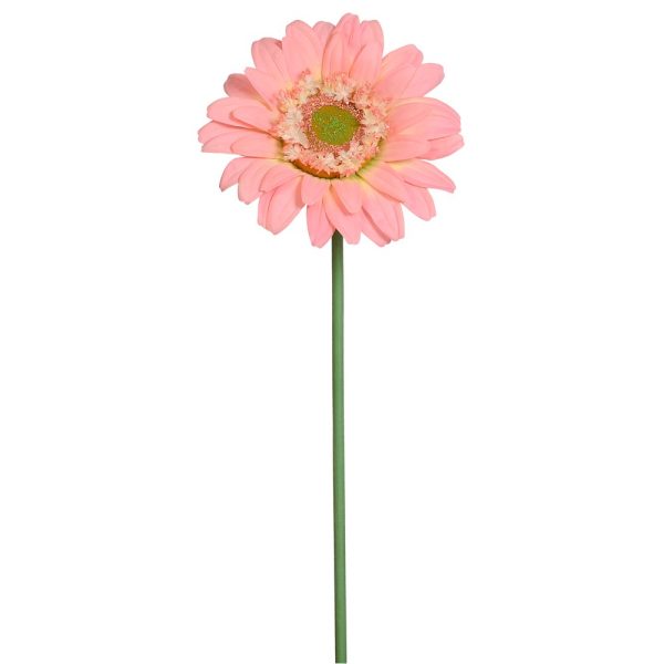 Gerbera stor