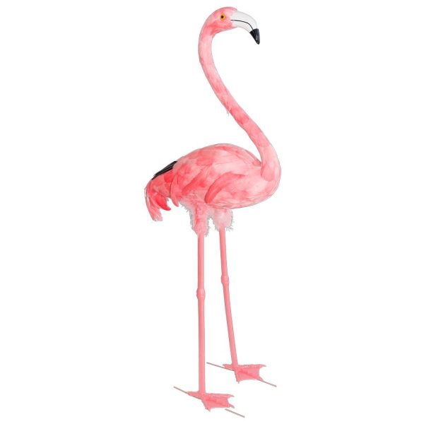 Flamingo huvud uppe stor