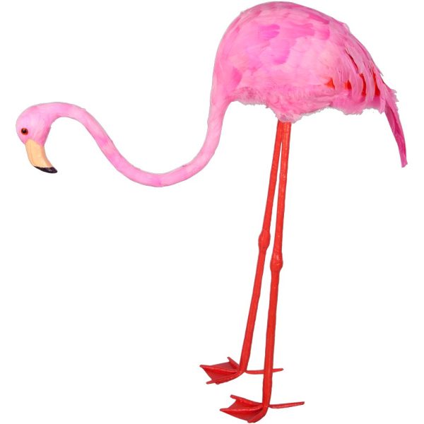 Flamingo huvud nedböjt