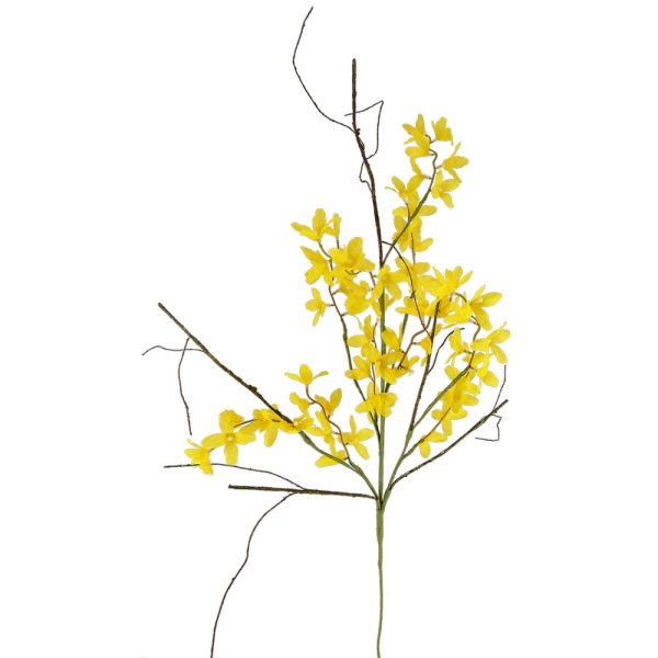 Forsythiagren