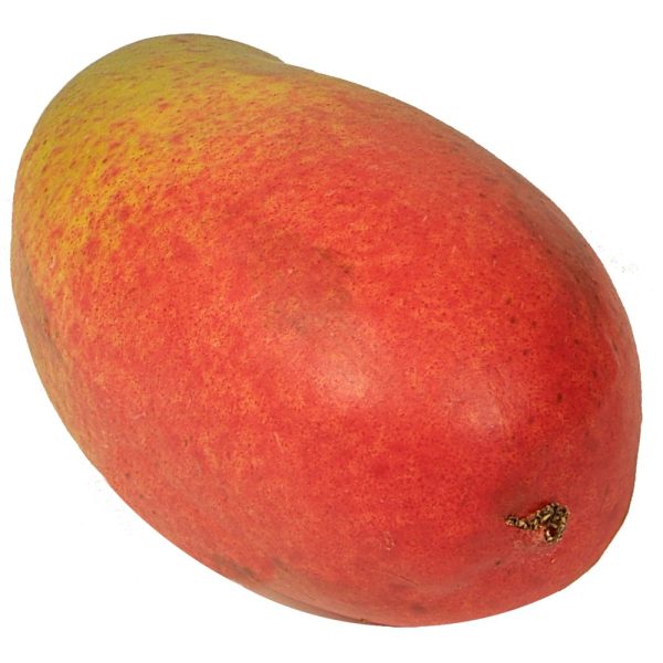 Mango naturlig