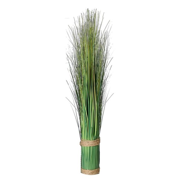 Grästuva Festuca