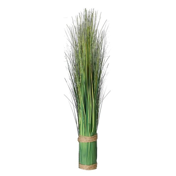 Grästuva Festuca