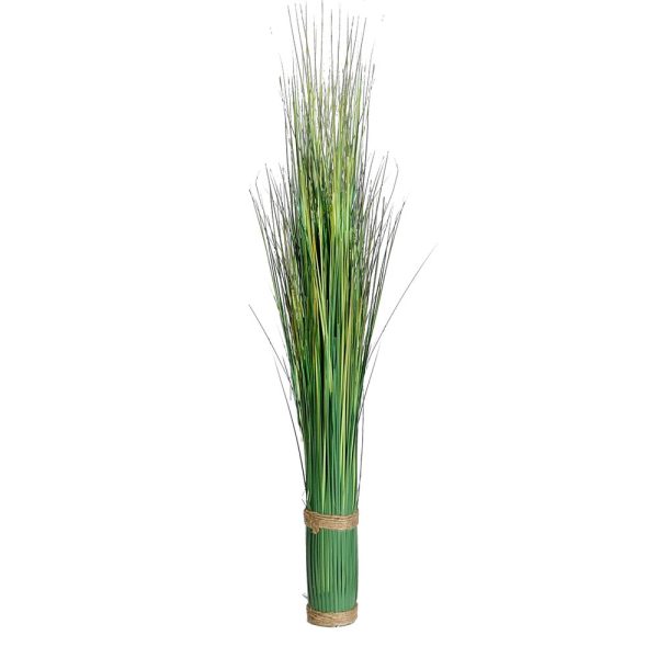 Grästuva Festuca